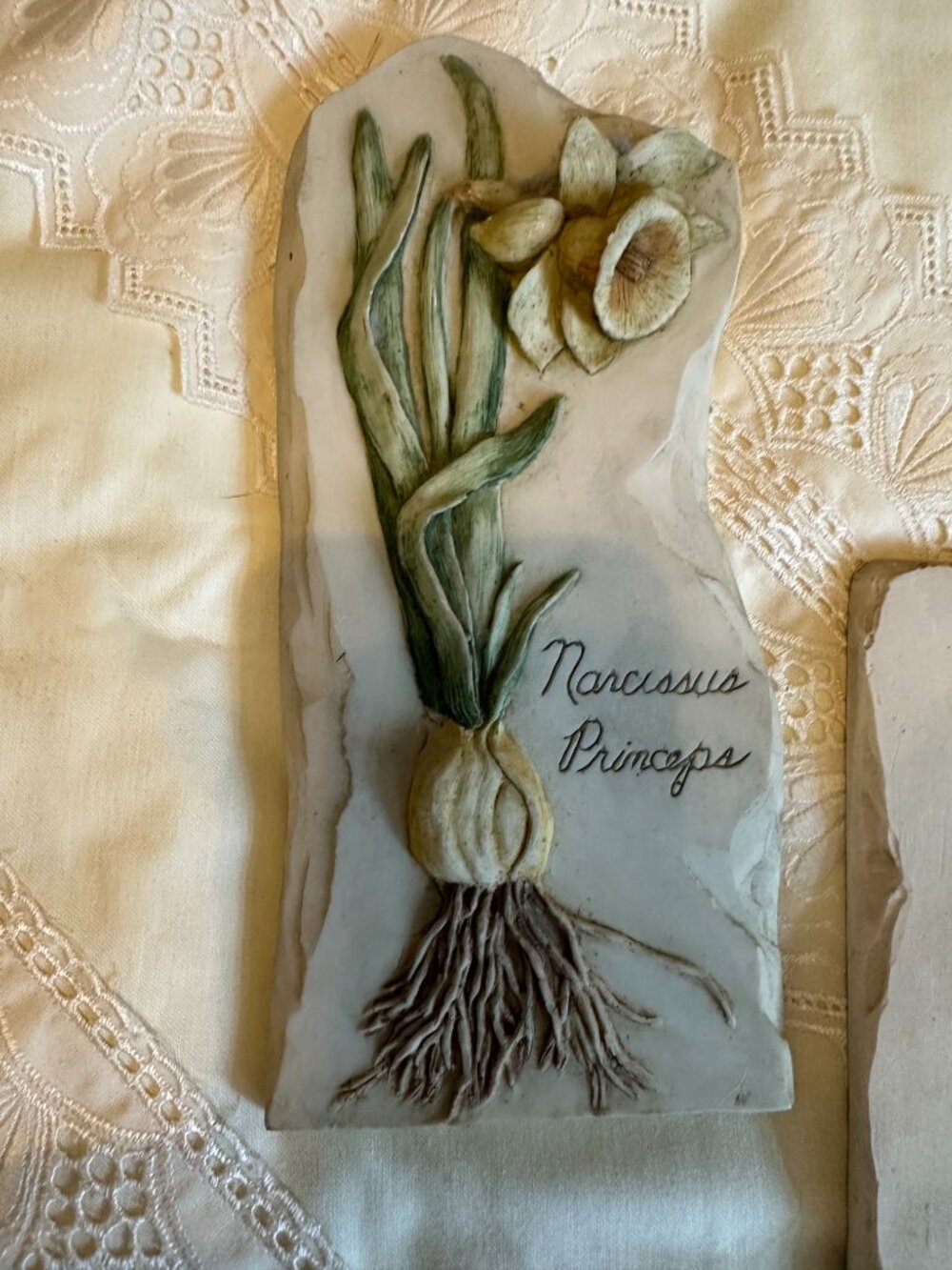 Hen - Feathers  Botanical Narcissus Princepa  Daffodil Vintage Wall Art on Stone